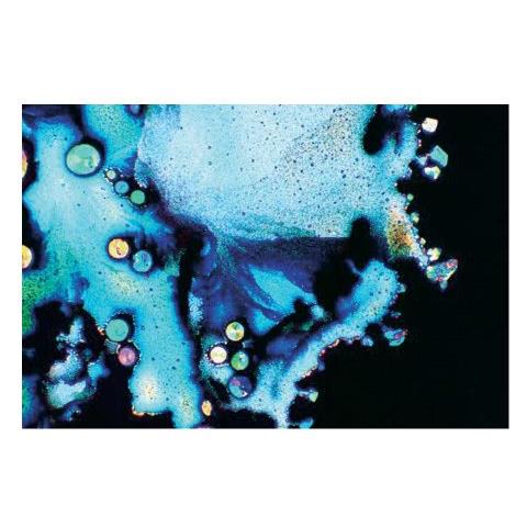 0007645020060 Lente D Ingrandimento Pieghevole - Foto 1