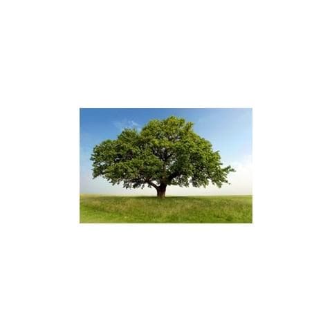 Cura Correttiva Lumin'eye Per Tasche E Cerchi Scuri Sotto Gli Occhi - Foto 1