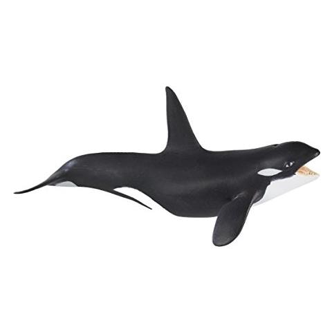 Safari Ltd Wild Safari Sea Life - Killer Whale - Statuetta Educativa Dipinta A Mano - Costruzione Di Qualità Con Materiali Sicuri E Senza Bpa - Dai 3 Anni In Su - Foto 1