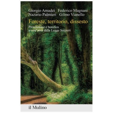 Giorgio Amadei - Foreste, territorio, dissesto. Prevenzione e bonifica a cent'anni dalla Legge Serpieri - Foto 1