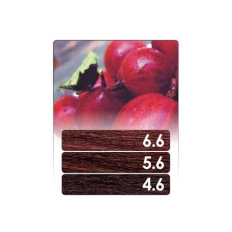 5.6 Castano Chiaro Rosso Viola Colore Senza Ammoniaca - Foto 2