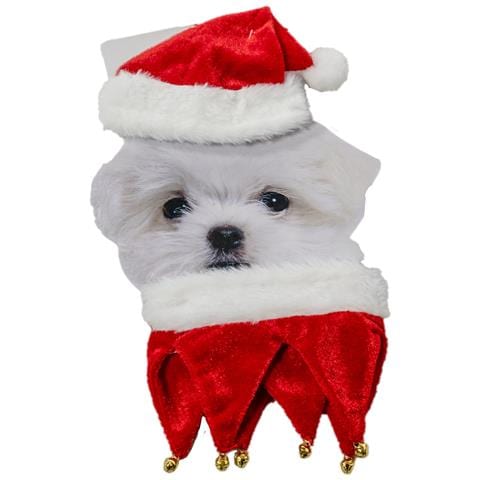 Cappello Per Animali Domestici Con Corpo Di Natale. - Foto 1