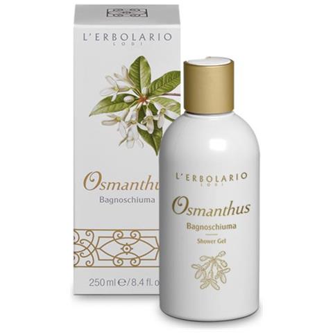 Osmanthus Bagnoschiuma - Foto 1