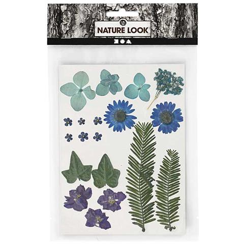 Fiori Secchi E Foglie Pressate - Blu - Circa 19 Pezzi - Foto 1