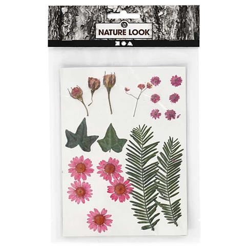 Fiori Secchi E Foglie Pressate - Rosso Chiaro - Circa 19 Pezzi - Foto 1