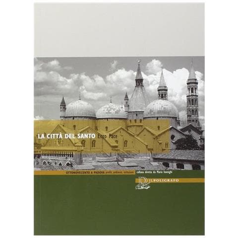Enzo Pace - La città del Santo - Foto 1