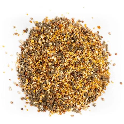 Mangime Per Galline 20kg  Miscela Di Granaglie  Miscela Di Cereali  Mangime Ovaiole - Foto 1