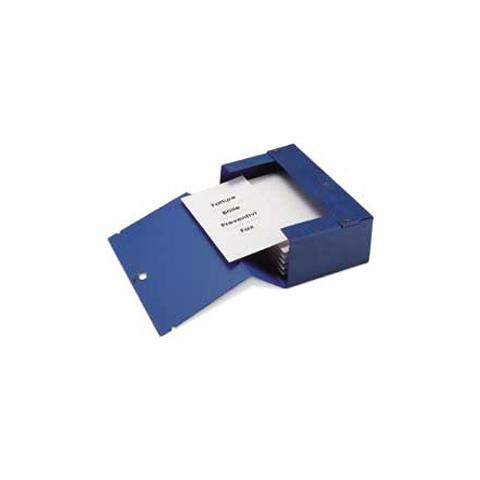 scatola archivio big 160 250x350mm blu c / maniglia - Foto 1