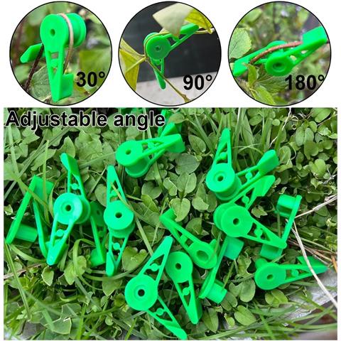 Clip Per Trainer Per Piante Regolabili A 360 Gradi Grass Color - Foto 1