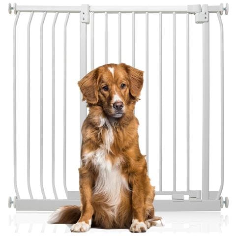 Bettacare Cancelletto Per Cani Elite Extra Alto, 98cm - 107cm, Bianco Opaco, Extra Alto Con 100cm Di Altezza - Foto 1