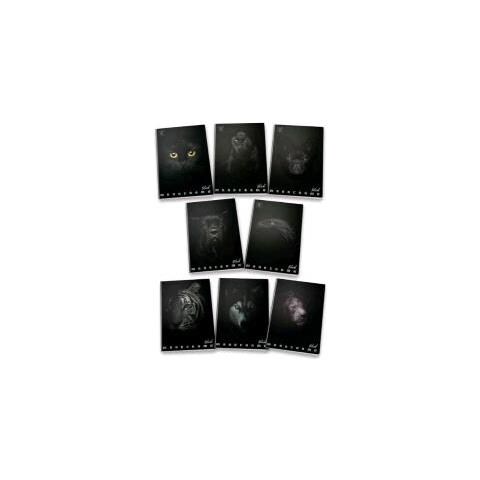 Maxi Quaderno Pigna Monocromo Black 02303370c - Rigatura C - Confezione 10 Quaderni Ass. - Foto 3