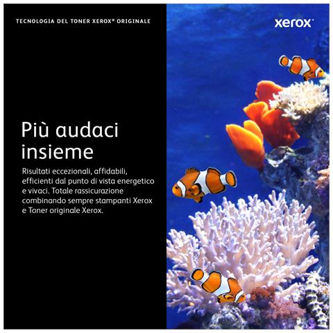 106R01323 cartuccia toner 1 pz Originale Nero - Foto 2