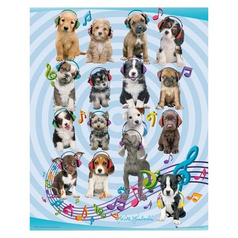 Keith Kimberlin - Puppies Headphones 2 (poster Mini 40x50 Cm)  - Foto 1