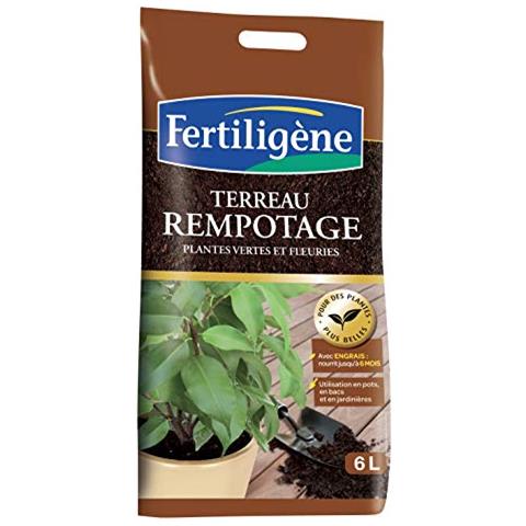 Fertiligene Terriccio Per Rinvaso, 6 L - Foto 1