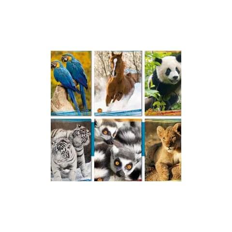 confezione da 10 pezzi - maxiquaderno a4 18fg+1 100gr natural element 5mm blasetti 5625 - Foto 1