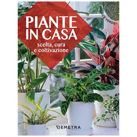 Piante in casa. Scelta, cura e coltivazione - Foto 1