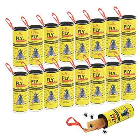 Paper Fly Fly Fly Catcher Strips Strisce 16 Confezione Sticky Fruit Fly Trap Per La Casa Dellinterno Uso Esterno - Foto 1