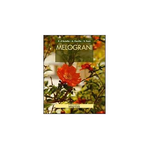 Pierangela D'Aniello - Melograni - Foto 1