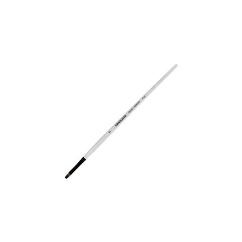 Pennello Sintetico Piatto Corto Graduate N. 6 Manico Lungo - Foto 1