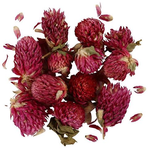 Fiori Secchi - Trifoglio Rosso - 15 Gr - Foto 1