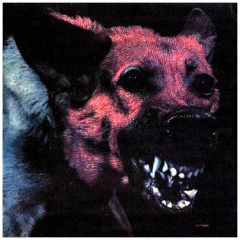 Protomartyr - Under Color Of Official Right - Foto 2