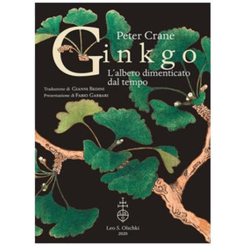Peter Crane - Ginkgo. L'albero Dimenticato Dal Tempo - Foto 1