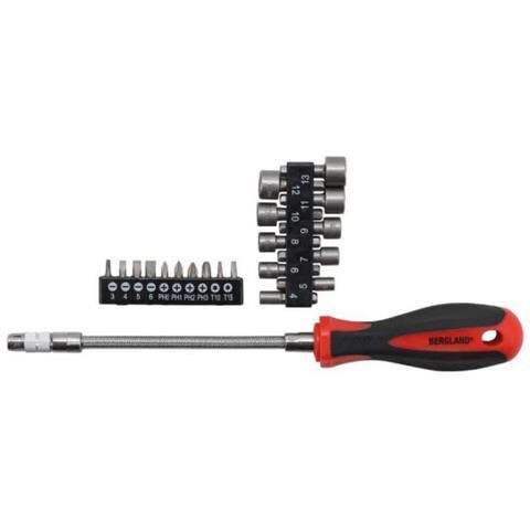 Set Di Bit Per Cacciaviti Con Albero Flessibile Bgs - 31 Pezzi - 20131 - Foto 2