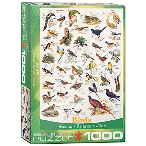 Puzzle Campi E Giardini Con Uccelli (1000 Pezzi) (6000-1259) - Foto 1