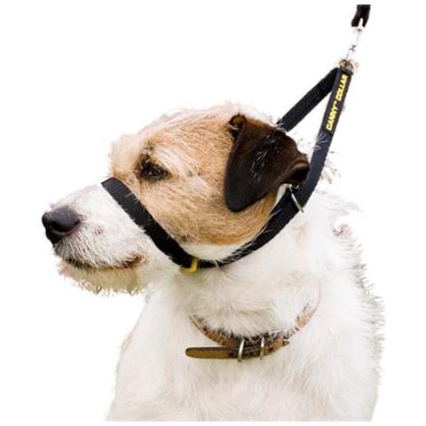 Canny Collar Collare Per Addestrare Il Cane - Evita Che Tiri Durante Il Cammino Nero Taglia 1: 23cm - 28cm - Foto 1