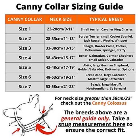 Canny Collar Collare Per Addestrare Il Cane - Evita Che Tiri Durante Il Cammino Nero Taglia 1: 23cm - 28cm - Foto 6