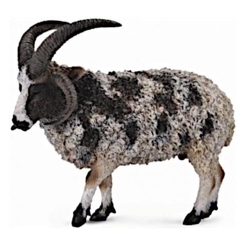 Jacob Pecore Animali Della Fattoria - Foto 1