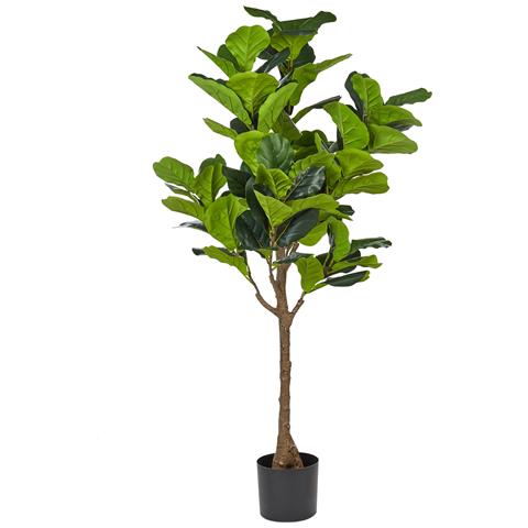 Pianta Artificiale In Vaso 162 Cm Fig Tree - Foto 5