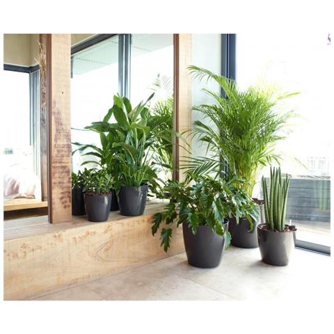 Vaso - - San Remo - 30 Br - Rosso Scuro - Foto 3