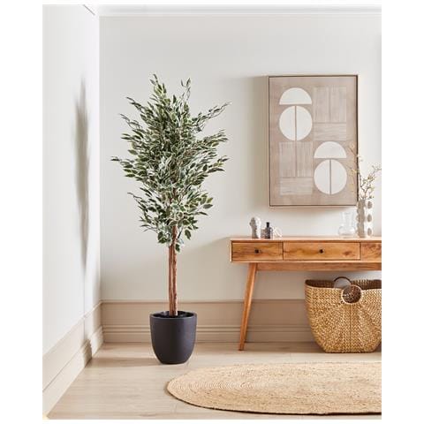 Pianta Artificiale In Vaso 167 Cm Ficus Tree - Foto 1