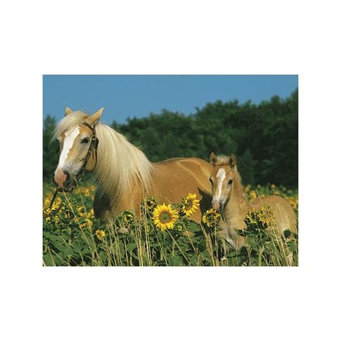 Puzzle Cavalli 200 pz 33.5 x 23.1 x 3.7 cm 12628 - Foto 2