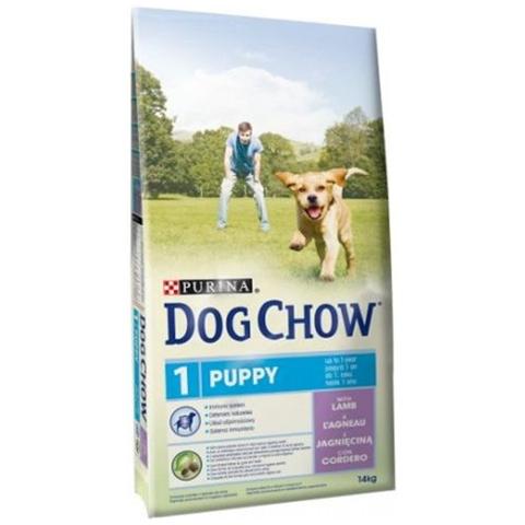 tonus dog chow