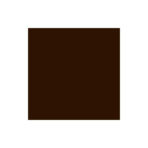 Vf 4000 - Marrone (ca. ral8007) 100 G Pittura Tinta Base Colorante - Foto 2