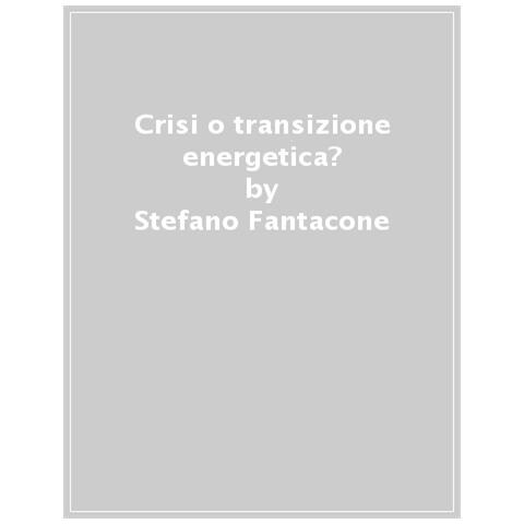 Stefano Fantacone - Crisi o transizione energetica? Come il conflitto in Ucraina cambia la strategia europea per la sostenibilità - Foto 1