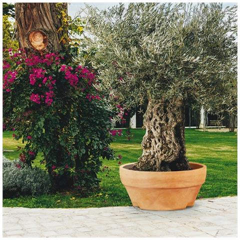 Vaso Ursus Cm 120x60 - Foto 5