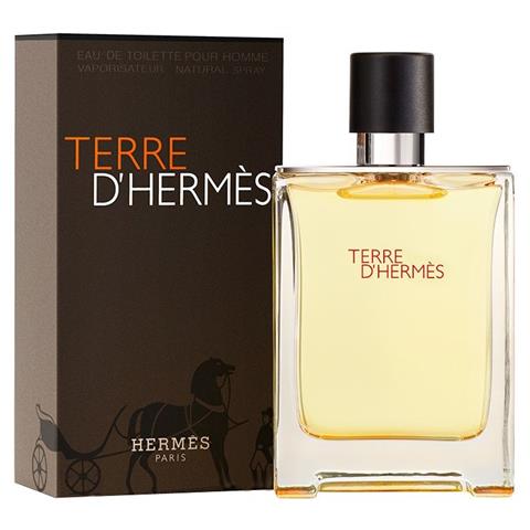 Terre D'Hermes Eau de Toilette 100 ml Vapo - Foto 1
