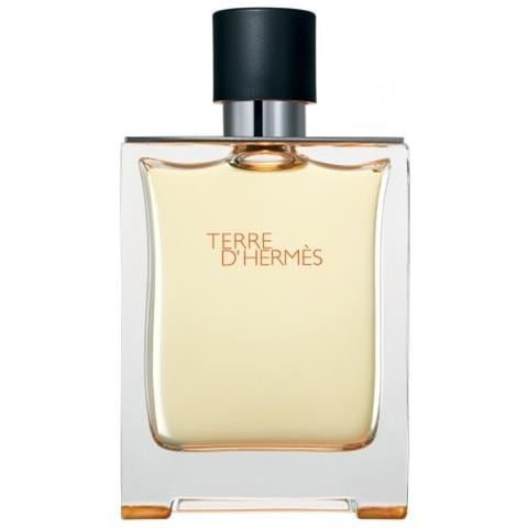 Terre D'Hermes Eau de Toilette 100 ml Vapo - Foto 14