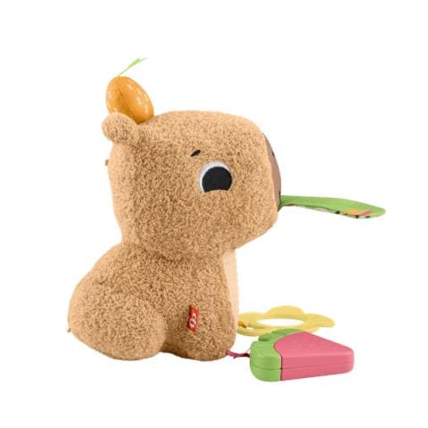 Il Mio Capybara Abbraccia - Foto 2