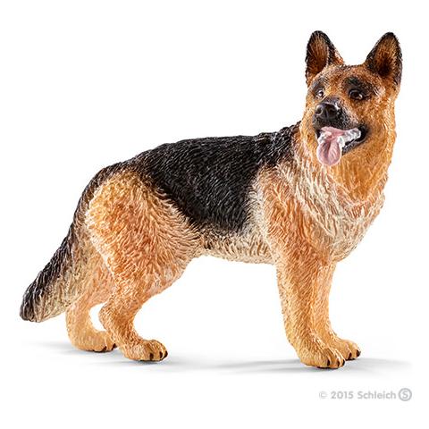 Farm Life Cane da Pastore - Foto 1