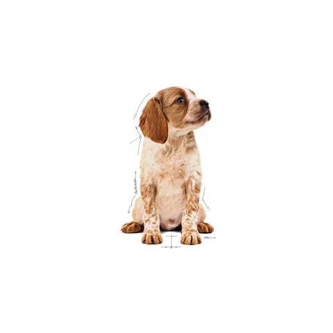 Medium Puppy Buste Cane Royal Canin 10x140gr - Foto 3