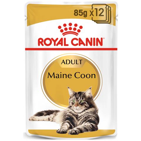 Maine Coon Buste Royal Canin - Foto 1