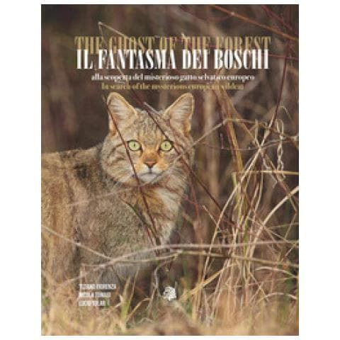 Tiziano Fiorenza - Il fantasma dei boschi. Alla scoperta del misterioso gatto selvatico europeo-The ghost of the forest. In search of the mysterious euroepan wildcat. Ediz. bilingue. Con QR-Code - Foto 1