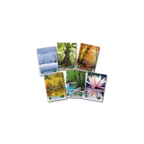 Quaderni Punto Metallico A4 20 Fogli - Foto 1