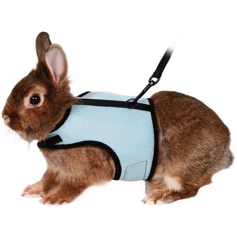 Parure Pettorina Con Guinzaglio Per Conigli Nani - Foto 2