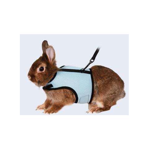 Parure Pettorina Con Guinzaglio Per Conigli Nani - Foto 1