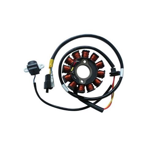 Statore 12poli Ad. kymco People S 125/200 - Foto 1